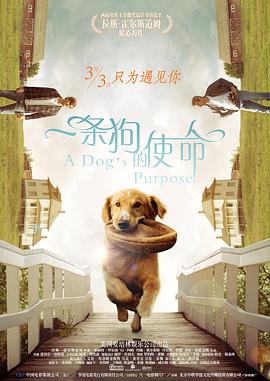 黄色网址在线播放
